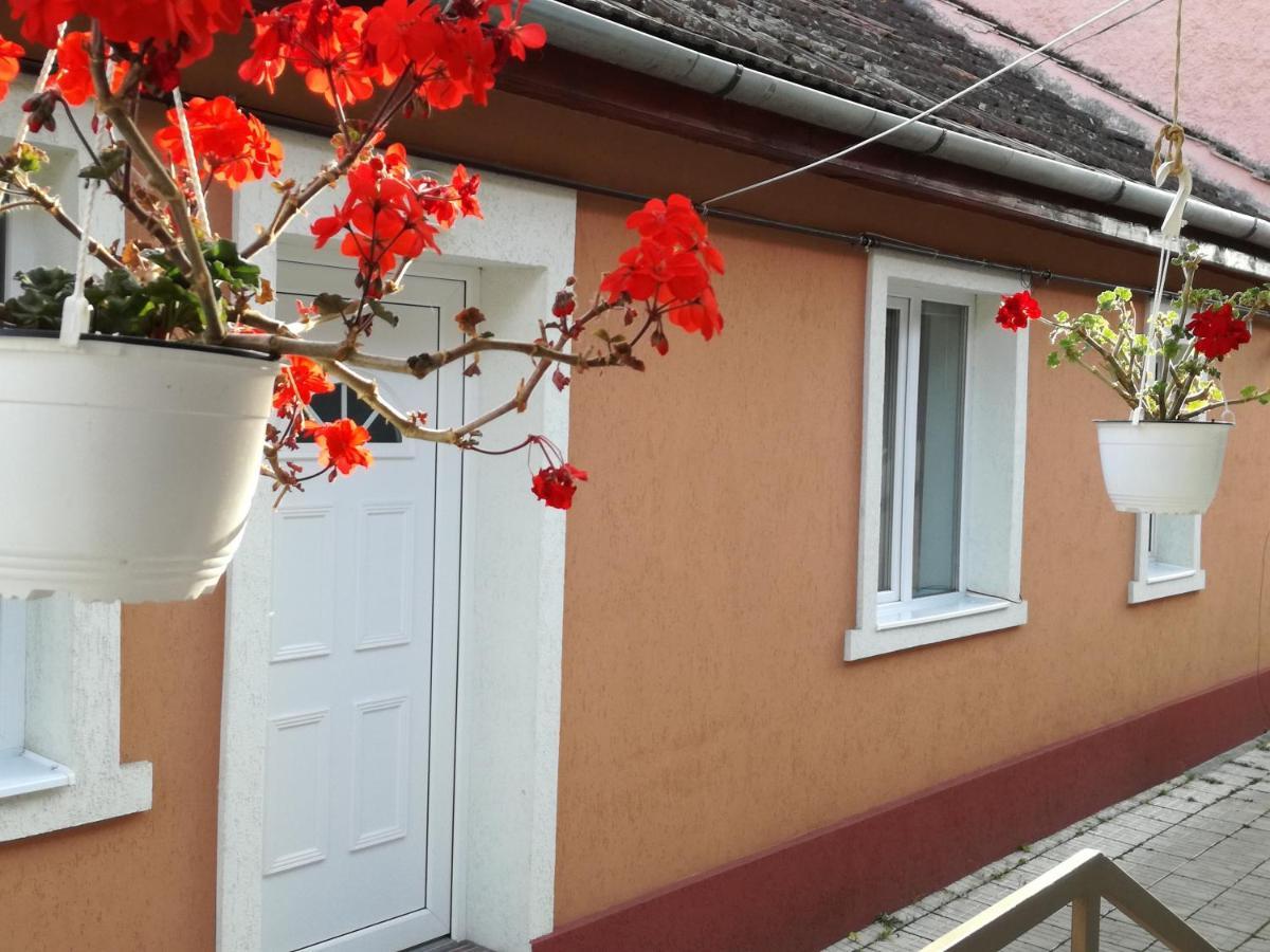 Casa Anastasiei Braşov Esterno foto
